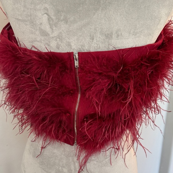 Magnolia Red Feathered Tube Top - Picture 6 of 13